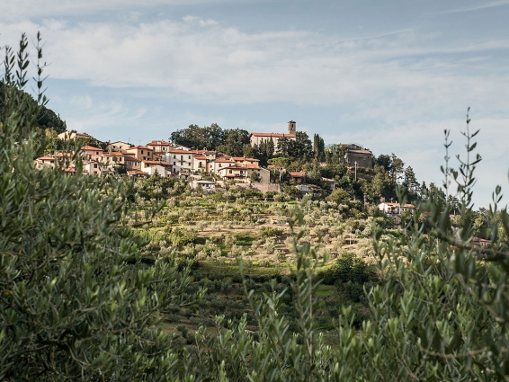 Agriturismo Castiglioncello Migliana